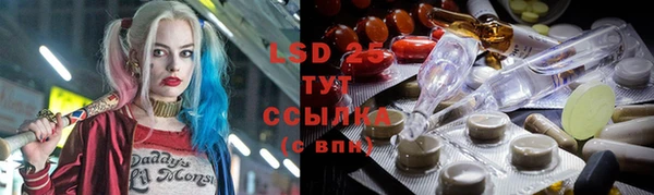 PSILOCYBIN Алзамай