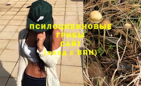 PSILOCYBIN Алзамай
