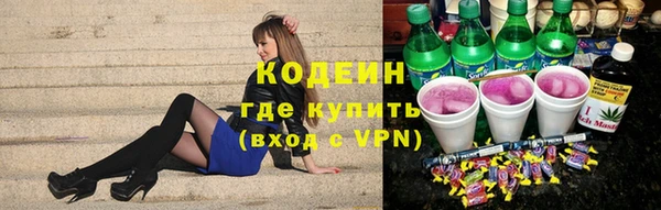 PSILOCYBIN Алзамай