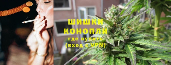 шишки Алексин