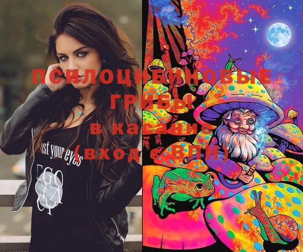 PSILOCYBIN Алзамай