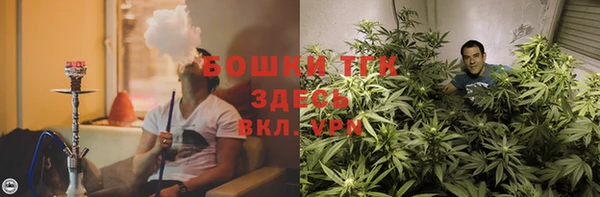 шишки Алексин