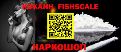 гидра Заводоуковск