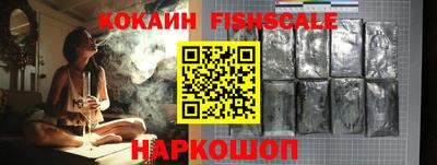 гидра Заводоуковск