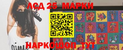 гидра Заводоуковск