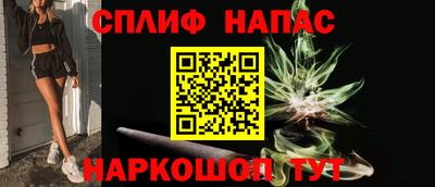 гидра Заводоуковск