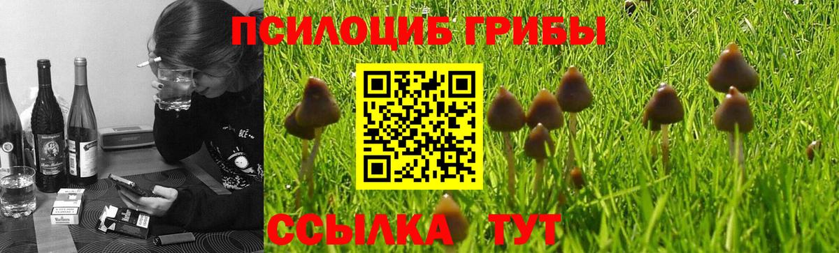 Галлюциногенные грибы Psilocybine cubensis  сколько стоит  Лабинск  Псилоцибиновые грибы прущие грибы  Вход с VPN 